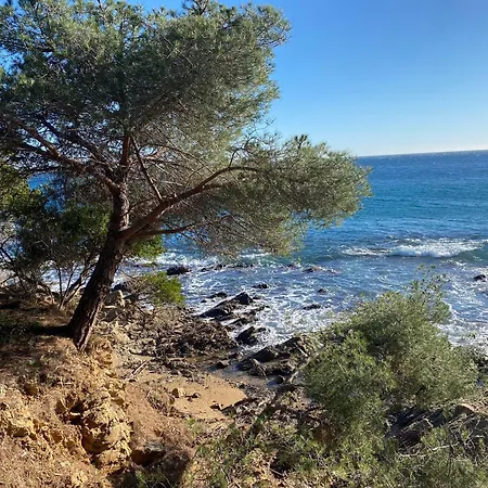 Chez Skadi Roquebrune-sur Argens