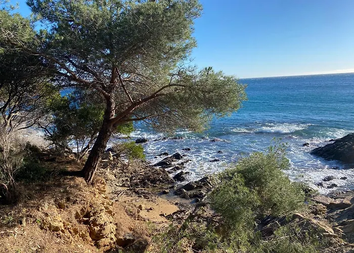 Chez Skadi Roquebrune-sur Argens